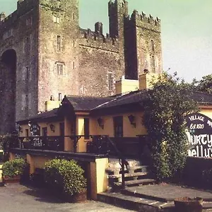 bunratty-shannon-shamrock.hotel-killarney.com/